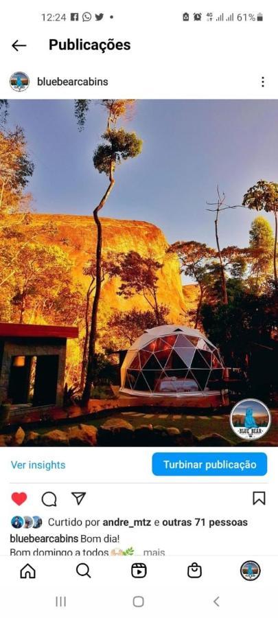 Blue Bear Cabins Villa Petrópolis Eksteriør bilde