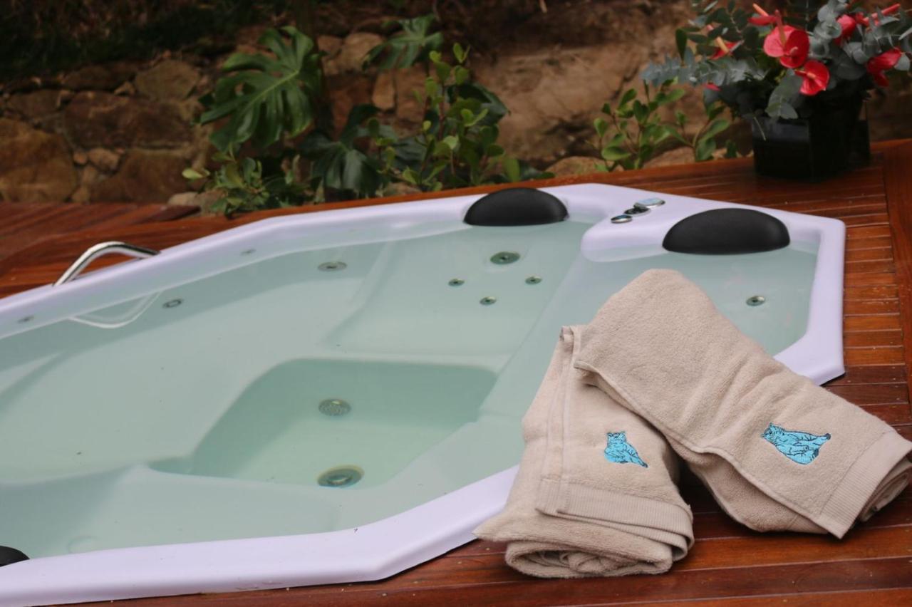 Blue Bear Cabins Villa Petrópolis Eksteriør bilde
